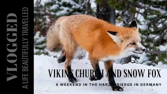 'Video thumbnail for Viking Church and Snow Fox - A Weekend in the Harzgebierge - Beautifully Vlogged'