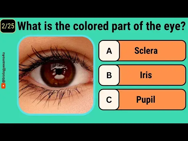 'Video thumbnail for Quiz on Human Eye | Multiple Choice on Eye Structure, Function and Disorders | 25 MCQs on Human Eye'