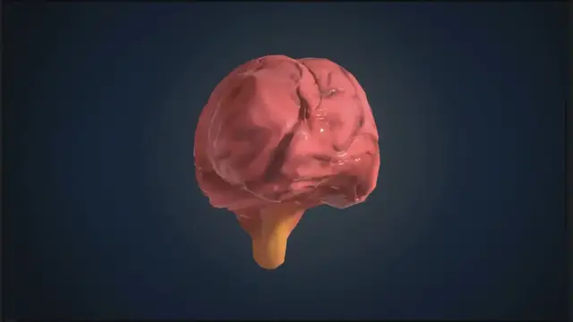 'Video thumbnail for The Best Memory Trick - Visualization & Association'