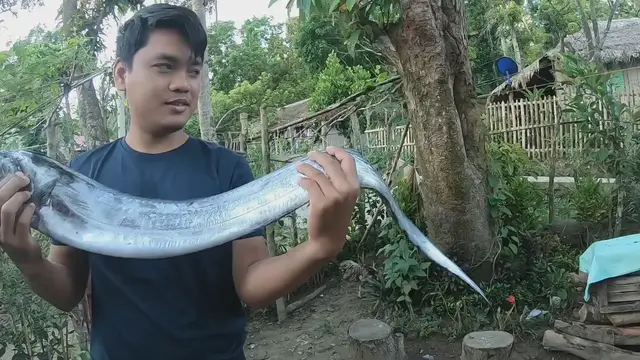 'Video thumbnail for This Fish Is Huge'