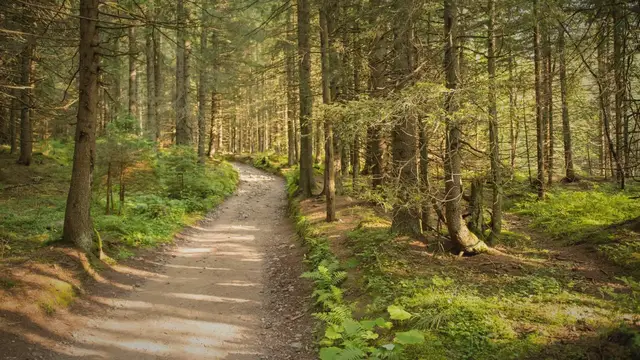 'Video thumbnail for Incendios forestales afectan áreas importantes de Centroamérica'