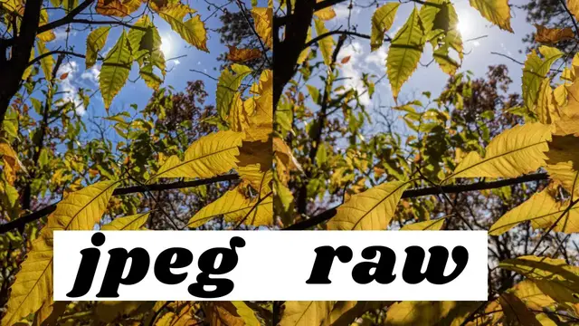 'Video thumbnail for How to Shoot RAW on Smartphones - iPhone & Android'