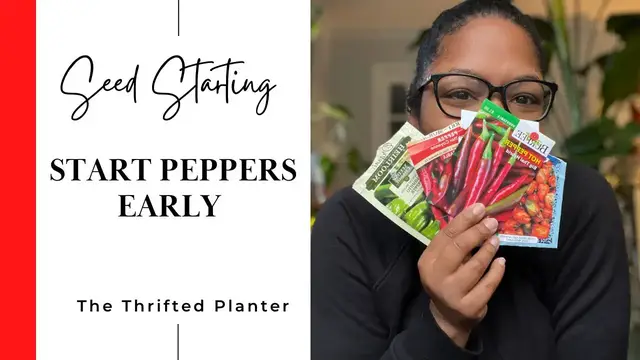 'Video thumbnail for SEED STARTING INDOORS | GROWING PEPPERS | DWARF TOMATO PLANT UPDATE | GARDEN ZONE 5 OHIO'