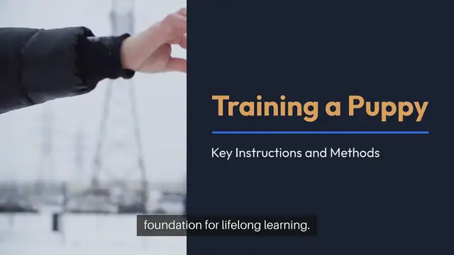 'Video thumbnail for Puppy Training Instructions'