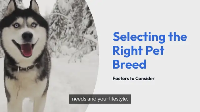 'Video thumbnail for Selecting The Right Pet Breed'