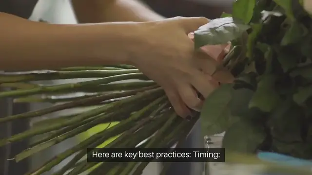 'Video thumbnail for Best Practices for Pruning Roses'