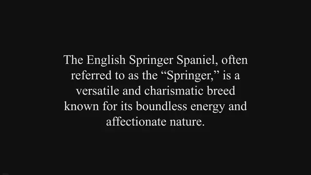 'Video thumbnail for English Springer Spaniel Dog Breed: Pros & Cons'