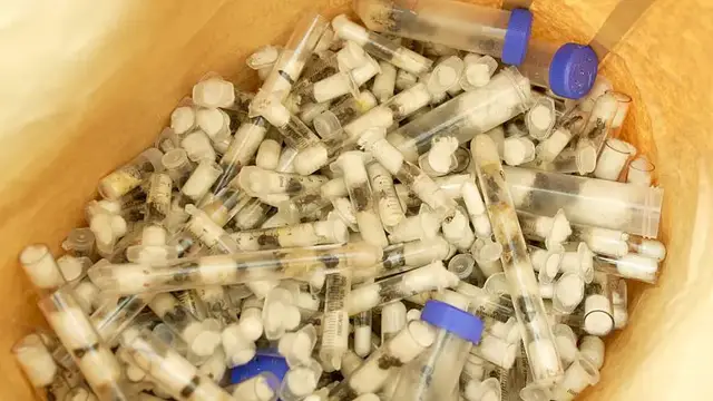 'Video thumbnail for Kenya expert warns of ecological disaster due to insect trafficking'