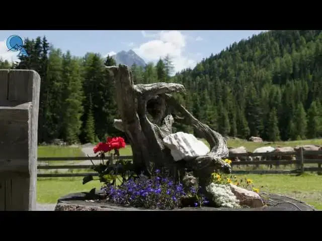 'Video thumbnail for Wandern im Ötztal zur Wurzbergalm - Gasthaus Waldesruhe'