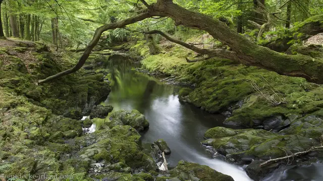 'Video thumbnail for Tollymore Forest Park | Game of Thrones'