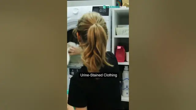 'Video thumbnail for Why Do My Clothes Smell Like Pee After Washing? | #shorts'