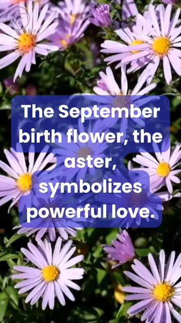 'Video thumbnail for Fun Facts About September You Don’t Know (2023 Facts)'