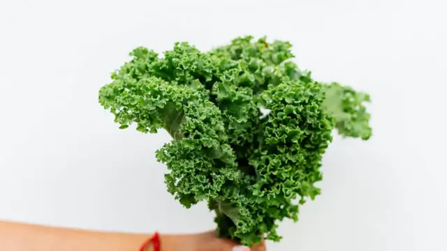 'Video thumbnail for Pizza de Espinaca y Kale Saludable | Receta Natural Fácil y Deliciosa 2025-06-02'