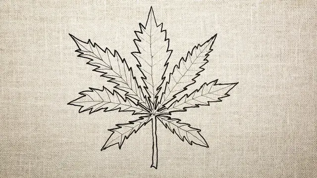 'Video thumbnail for An introduction to CBD — and what the FDA might do about it'