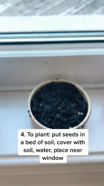 'Video thumbnail for How to grow raspberries in 5 steps!'