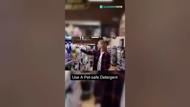 'Video thumbnail for Can You Wash Your Dog Bed at Laundromat? | #shorts'