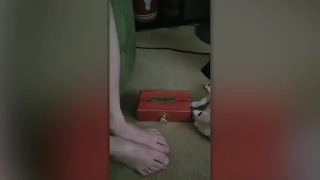 'Video thumbnail for Dog Has Incredible Reaction To Late Buddy's Ashes | Happily TV'