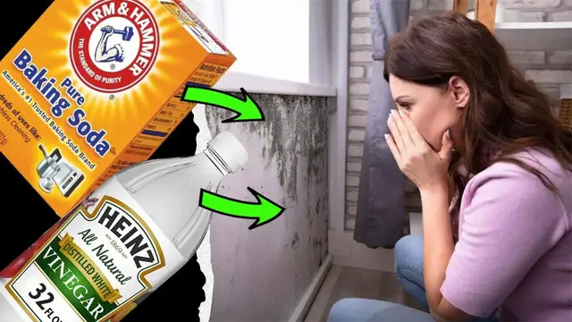 'Video thumbnail for How to Get Rid of Black Mold on Walls with 6 Natural Effective Solutions (MOULD)'