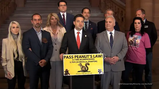 'Video thumbnail for 'Peanut's Law' introduced in New York after death of social media squirrel'