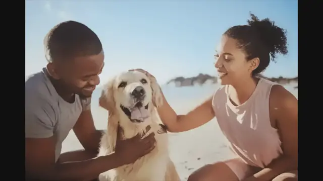 'Video thumbnail for Dressed to Impress: Grooming Your Dog for Special Moments'