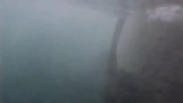 'Video thumbnail for The Horrific Untold Story of Shamu The Killer Whale'
