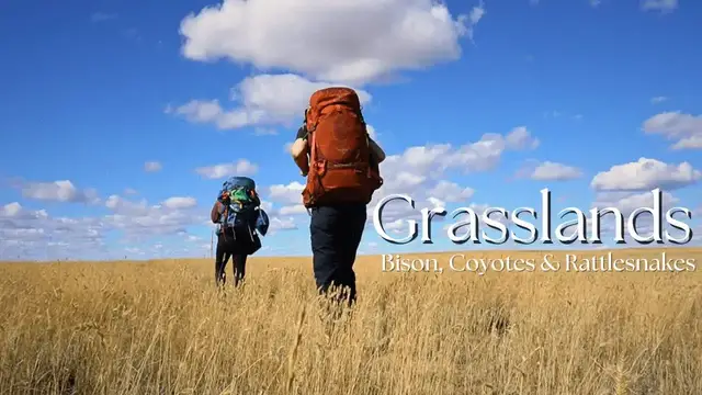 'Video thumbnail for GRASSLANDS | Camping with Bison, Coyotes & Rattlesnakes'