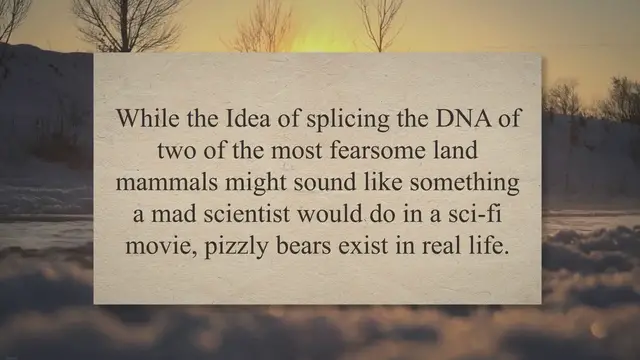'Video thumbnail for All About the Pizzly Bear: The Grolar Bear'