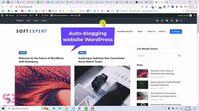 'Video thumbnail for How to make an AuoBlogging Website WordPress'