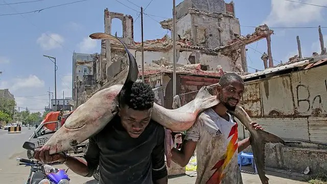 'Video thumbnail for Somalia launches Centennial Vision 2060 roadmap for 'peace, prospertity and progress''