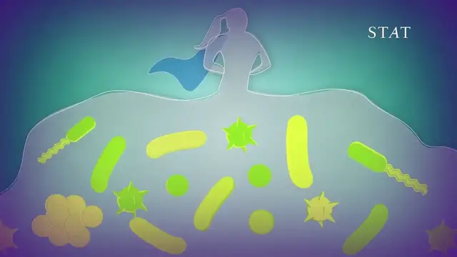 'Video thumbnail for Learn to love your mucus: It's keeping you alive'