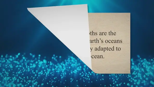 'Video thumbnail for All About Whales: Gentle Giants of the Deep'