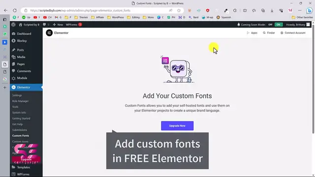 'Video thumbnail for How to add Custom Fonts on Elementor Free Version'