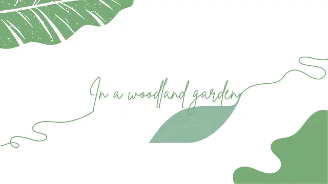 'Video thumbnail for In a woodland garden'