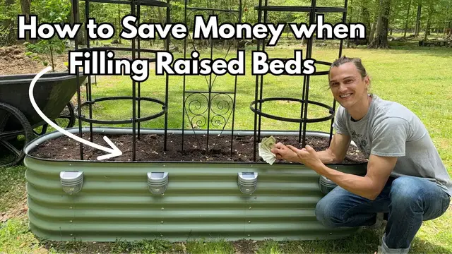 'Video thumbnail for Trick to Save Money when Filling Raised Bed Gardens for Veggies'