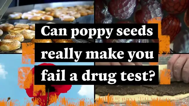 'Video thumbnail for Can Eating Poppy Seeds Make You Fail A Drug Test?'