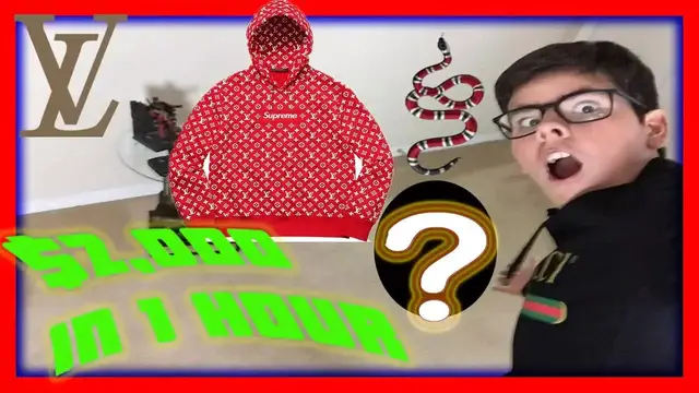 'Video thumbnail for INSANE SHOPPING SPREE $2,000+ NEW FAMILY MEMBER(Vlog #9)'