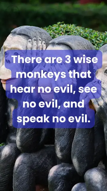 'Video thumbnail for Fun Facts About The Number 3 That Will Surprise You'