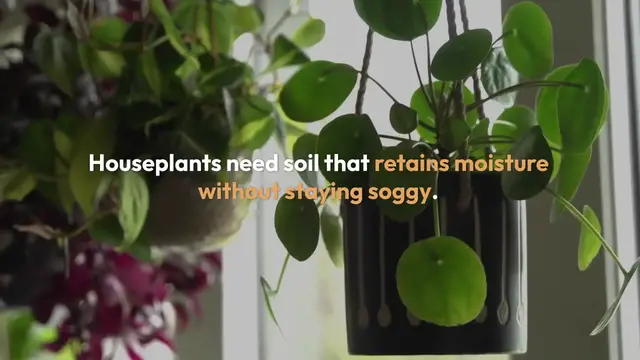 'Video thumbnail for Soil Mix for Houseplants'