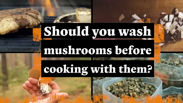 'Video thumbnail for Should You Wash Mushrooms Before Cooking With Them?'