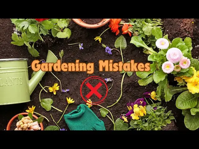 'Video thumbnail for Beginner Gardening Mistakes to Avoid'
