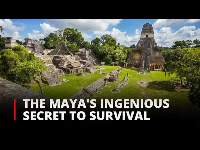 'Video thumbnail for Ancient Maya Water Filtration System at Tikal | How the Maya Overcame Water Scarcity | 12am News'