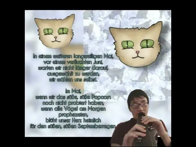 'Video thumbnail for A Headcanon Poem for "Im wunderschönen Monat Mai" EWI Clarinet Play. #ewi #clarinet  #music'