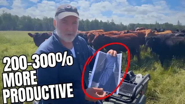 'Video thumbnail for How to Divide Cattle Pasture for MAXIMUM Productivity'
