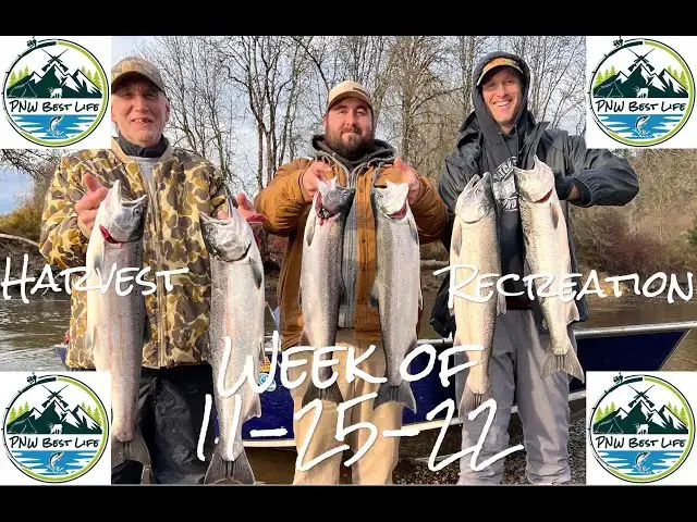 'Video thumbnail for Late Fall Coho Beatdown! Sexy Chanterelles, and Steelhead talk - PNW Harvest Recreation Nov 25, 2022'
