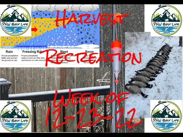 'Video thumbnail for Ice storm crazy, Steelhead, springers and silly goose stories! PNW Harvest Recreation 12-23-22'