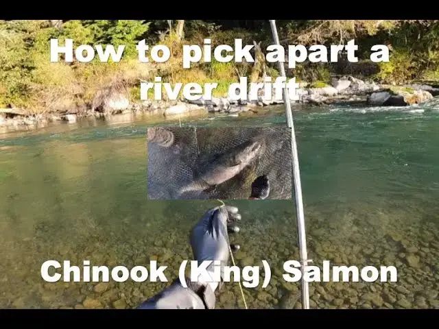 'Video thumbnail for How to pick apart a river drift for chinook (king) salmon'