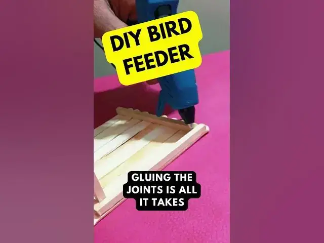 'Video thumbnail for DIY Bird Feeder #shorts #diybirdfeeder #diycraft'