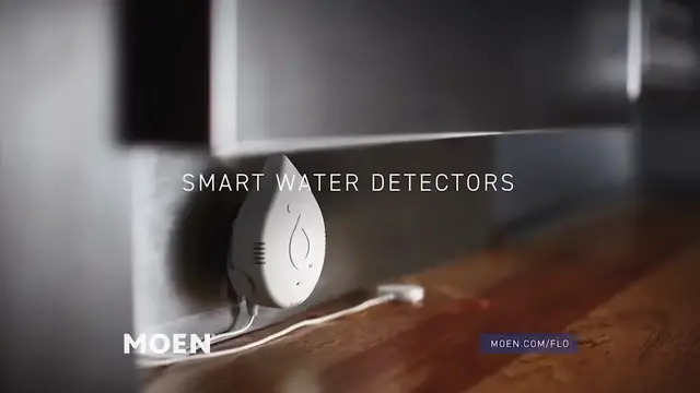 'Video thumbnail for Flo by Moen Smart Water Leak Detection System Overview  '