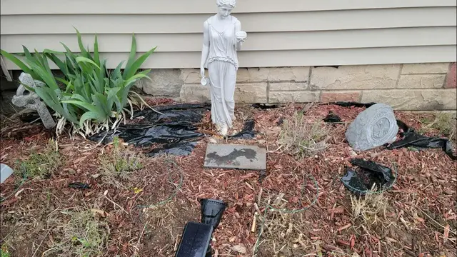 'Video thumbnail for Compost will change your garden in 5 minutes'