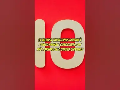 'Video thumbnail for Meduse Immortali: Il Segreto della Turritopsis Dohrnii! #shorts'